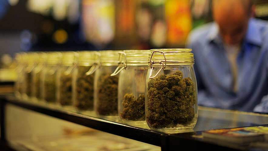  local cannabis delivery services near me