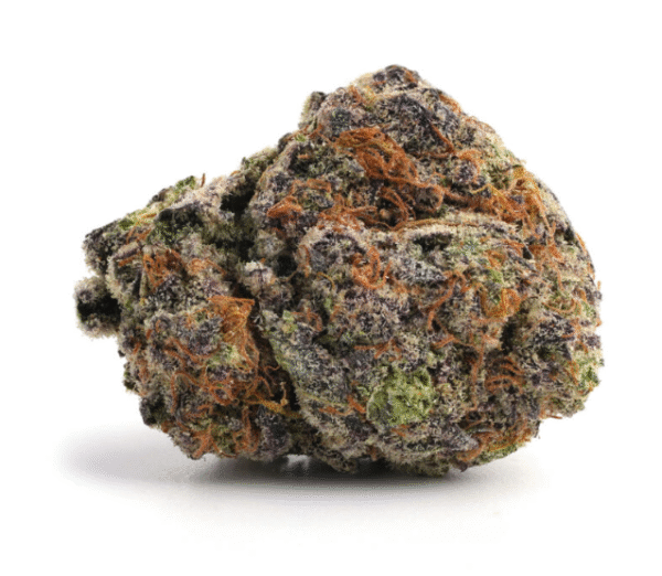 Grape Gas Hybrid - Image 3