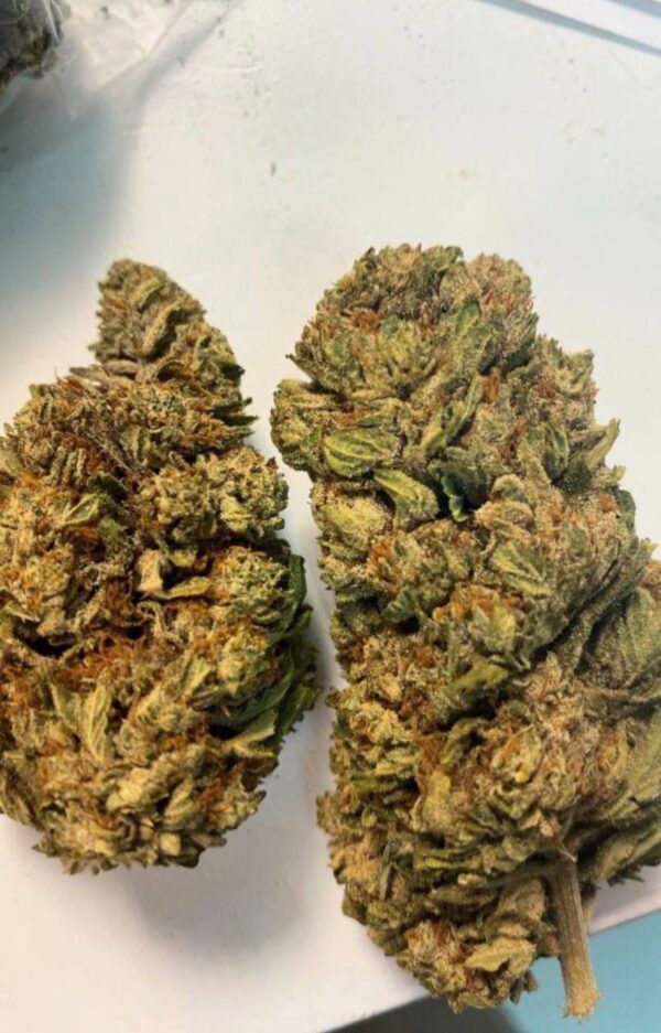 Light deps - Gelati | THC | 14-15%