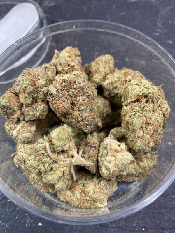 CHERRY GELATO