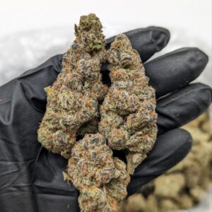 Tangerine Cookies | THC ≈ 24%
