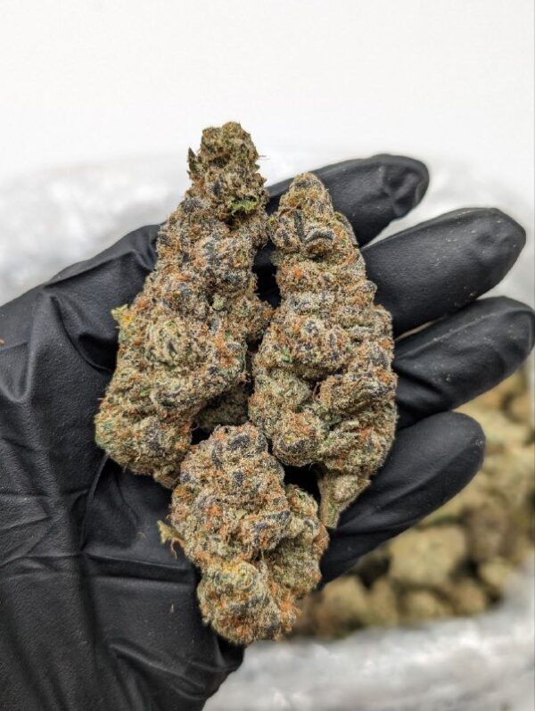 Tangerine Cookies | THC ≈ 24%
