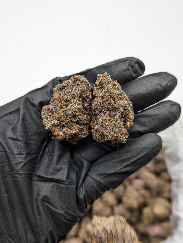 Peaches & Cream | THC ≈ 21%