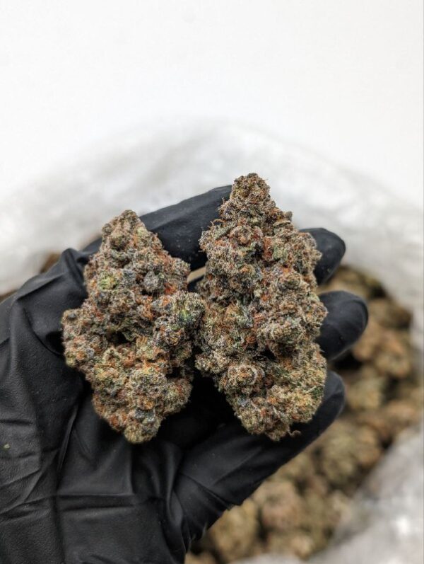 Frosted Flakes | THC ≈ 18-20%