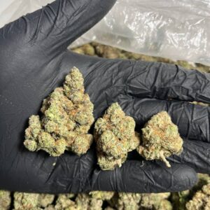 Berry Kosher | THC ≈ 19%-21%