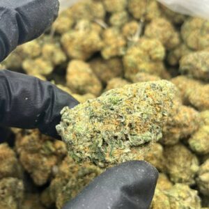 Bubble Gum | THC ≈ 20%