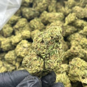 Dosi Face | THC ≈ 17%