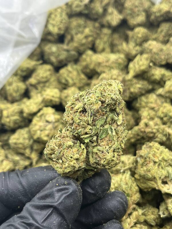 Dosi Face | THC ≈ 17%