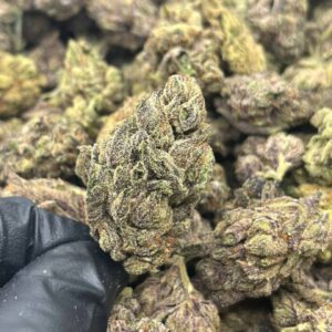 Italian Ice | THC - 22%