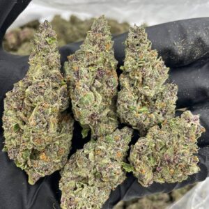 Sangria | THC - 26%