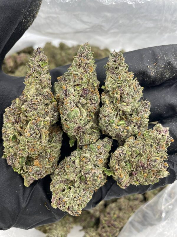 Sangria | THC - 26%