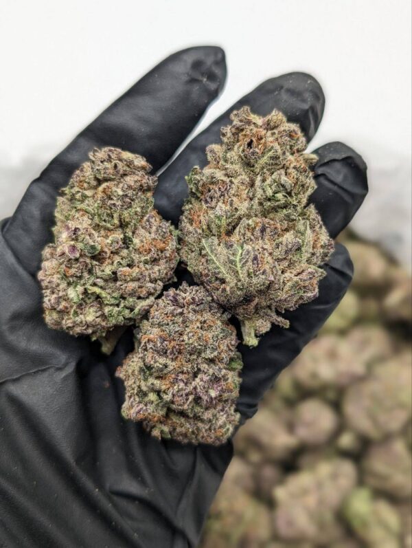 Galactic Gushers | THC ≈ 28%