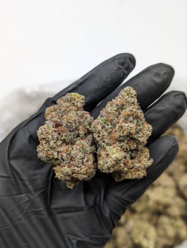 Bomb Popz | THC ≈ 16-17%