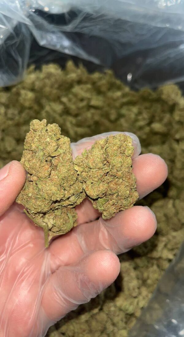 Kayas koffee | THC ≈ 18 %