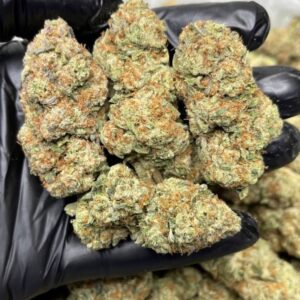 Ghost Punch | THC - 21 %