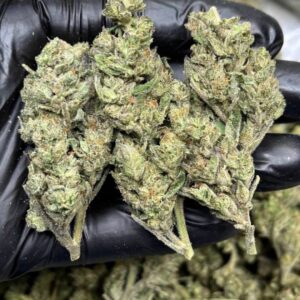 Ghost haze x Runts | THC ≈ 19-23 %