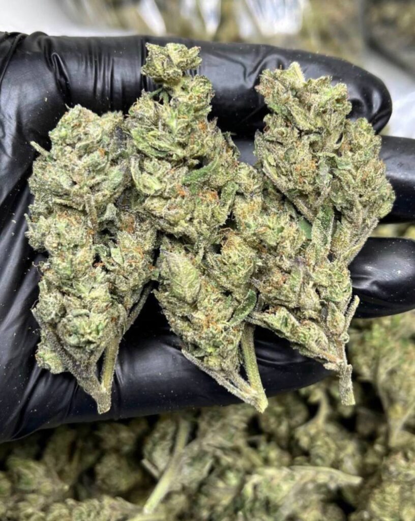 Local Cannabis Delivery Services Near Me