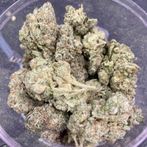 GAS RUNTZ | THC ≈ 13-15%