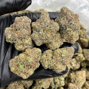 Frostbite runtz | THC ≈ 23-25%