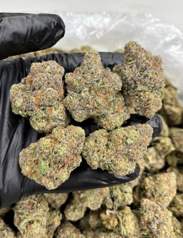 Frostbite runtz | THC ≈ 23-25%