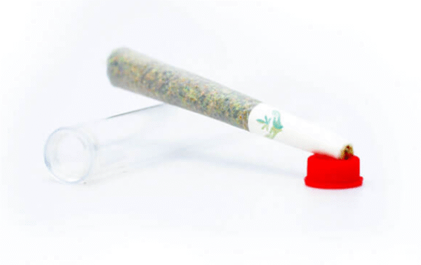 Sativa Pre-Rolled Joint