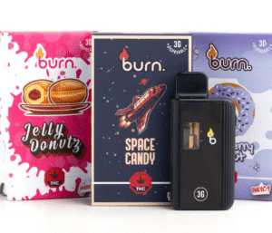 Disposable Vapes-3g  (Burn)