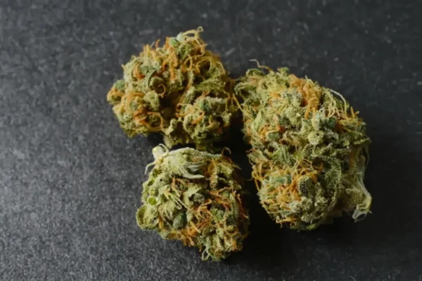 Gorilla Glue strain
