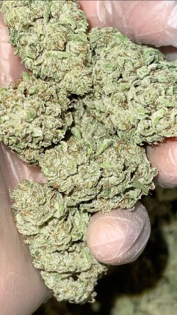 Gorilla Glue strain - Image 2